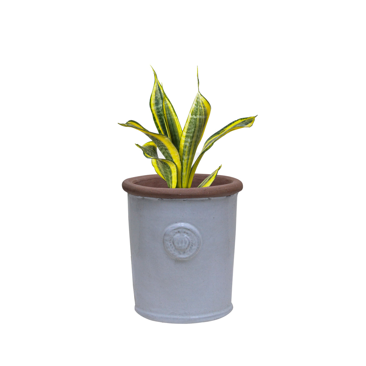 Aretha Ceramic Planter