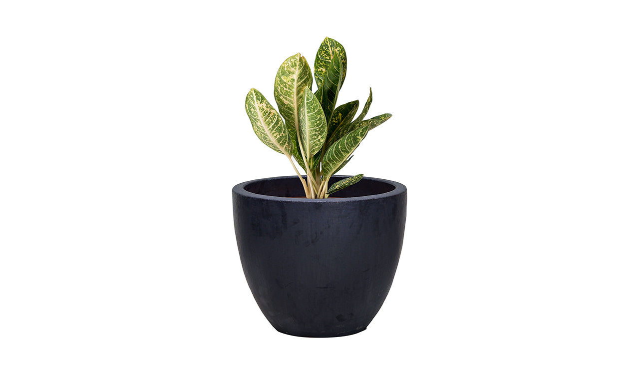 Willa Ceramic Planter