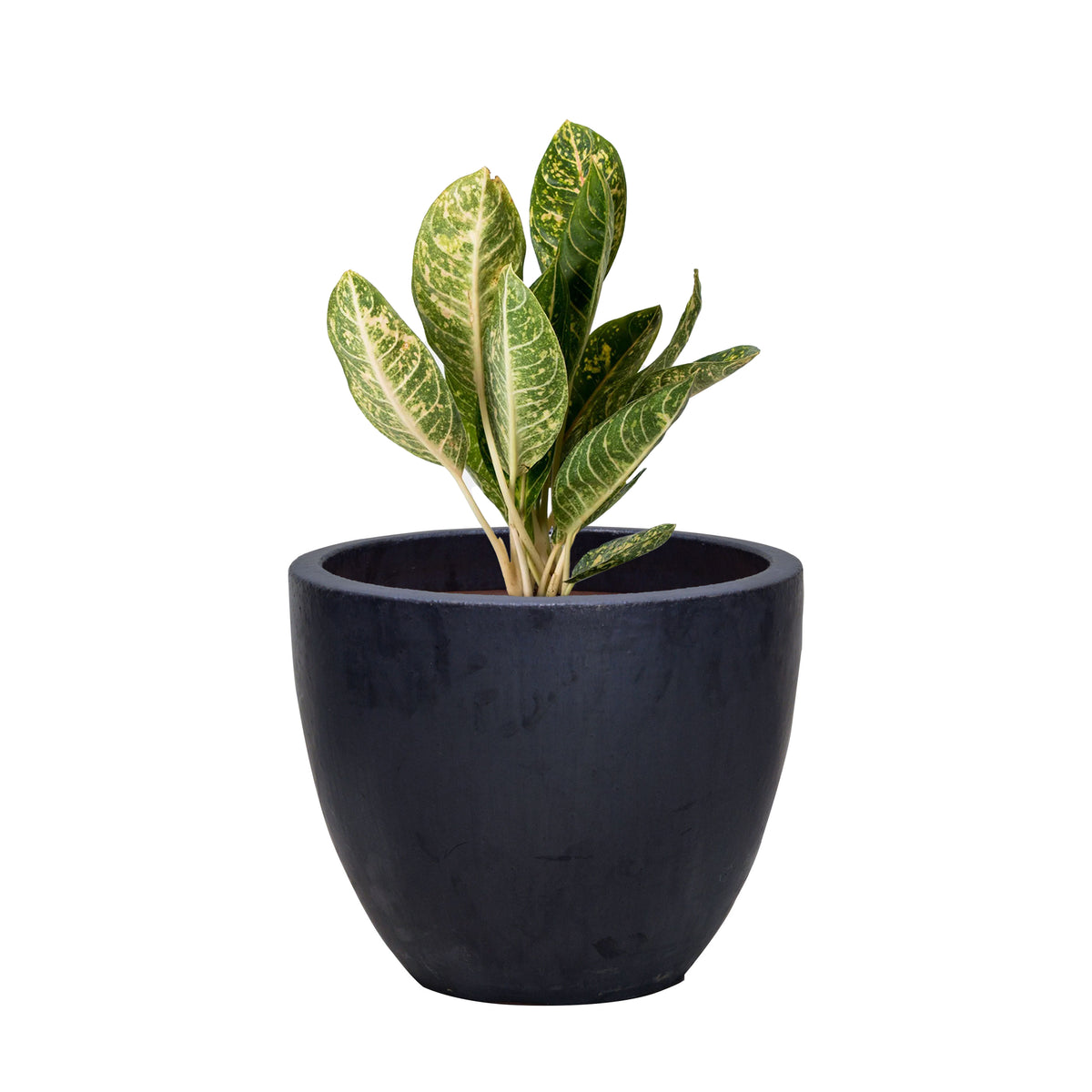 Willa Ceramic Planter
