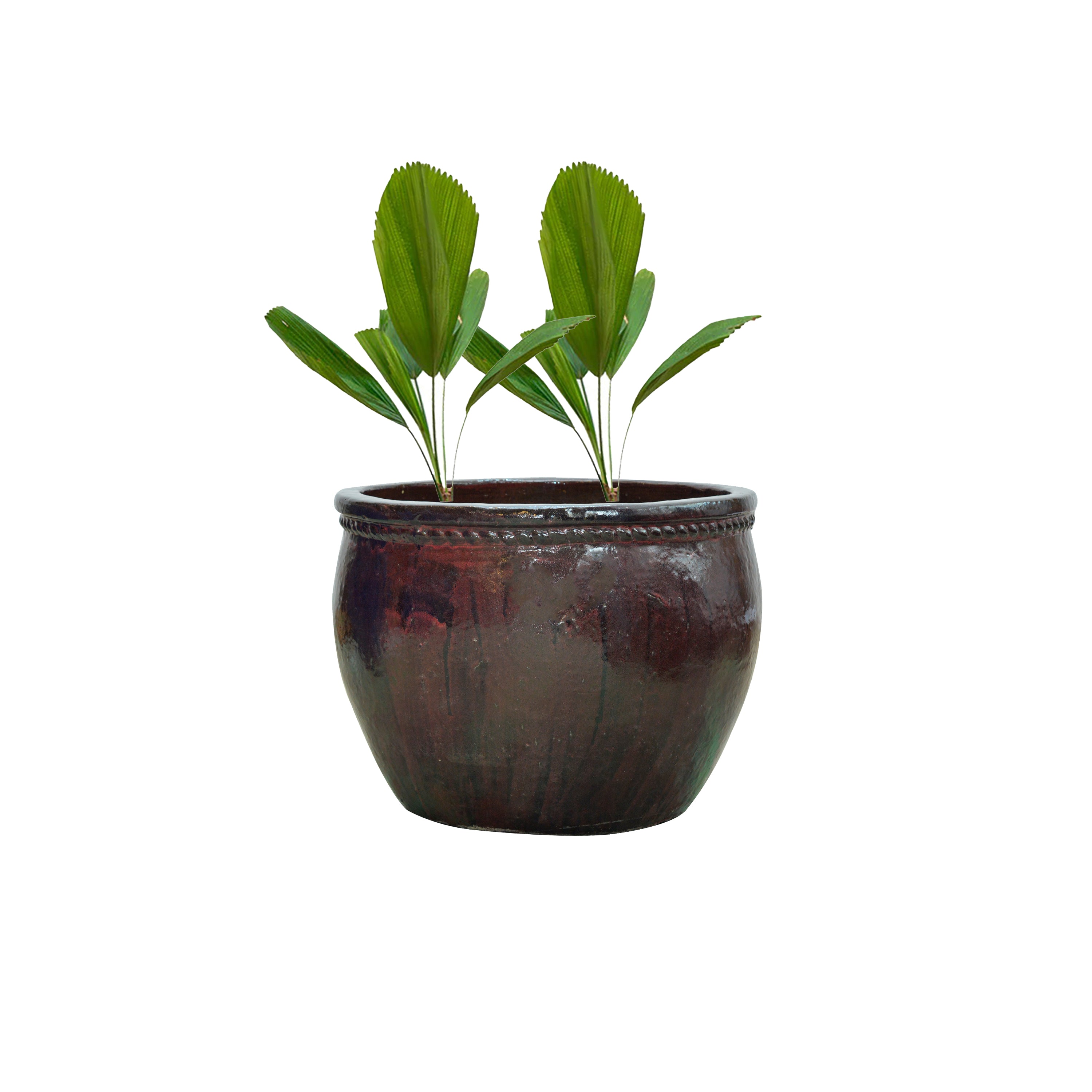 Marie Ceramic Planter