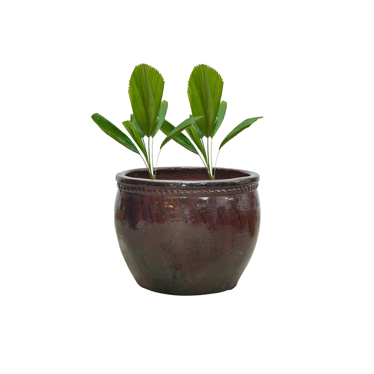 Marie Ceramic Planter