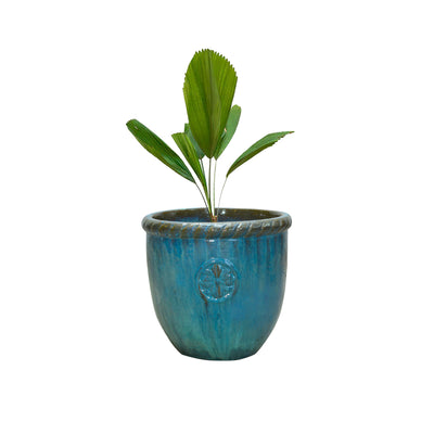  Florencia Ceramic Planter