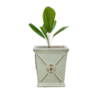 Regina Ceramic Planters