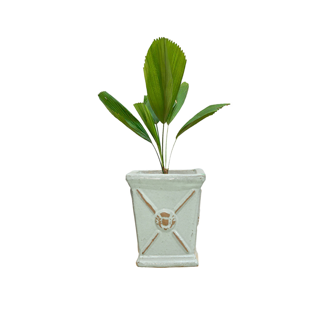 Regina Ceramic Planters