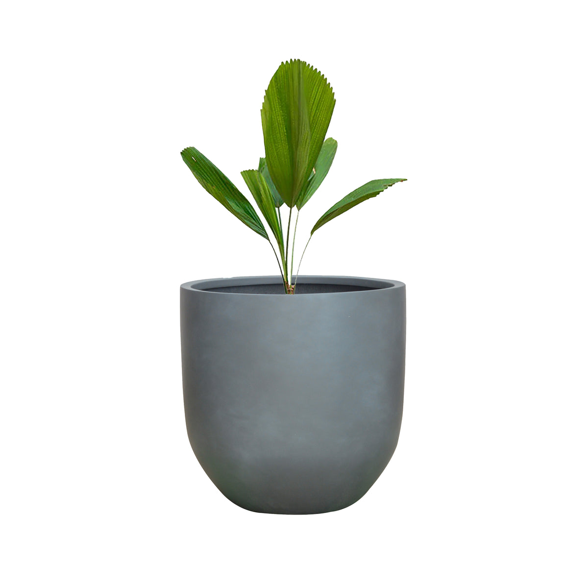 Ella Polystone Planter