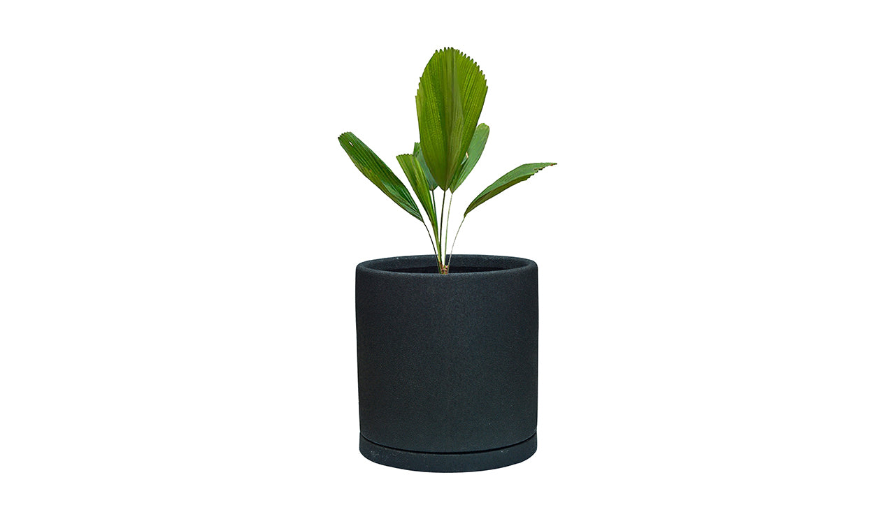 Lillian Polystone Planter