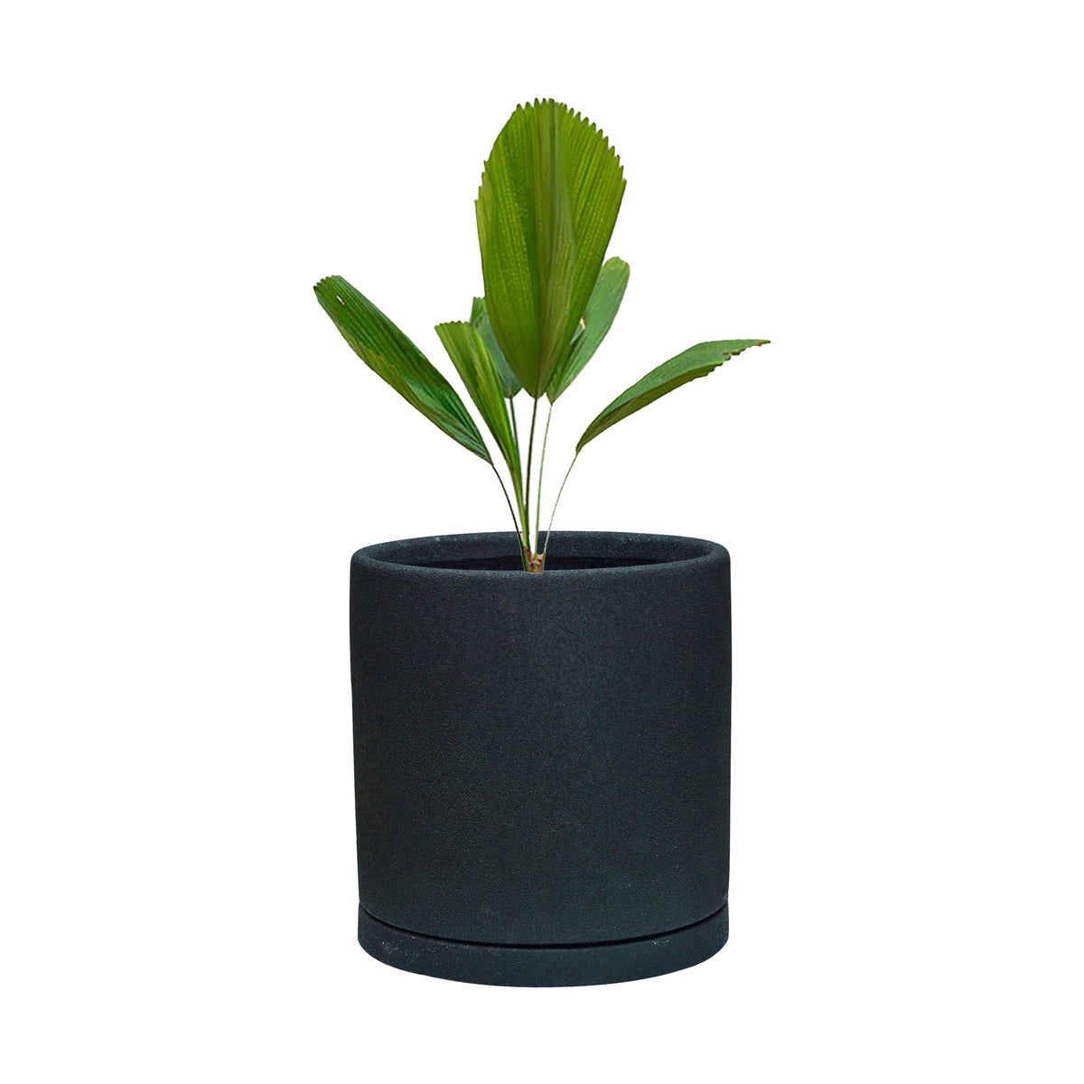 Lillian Polystone Planter