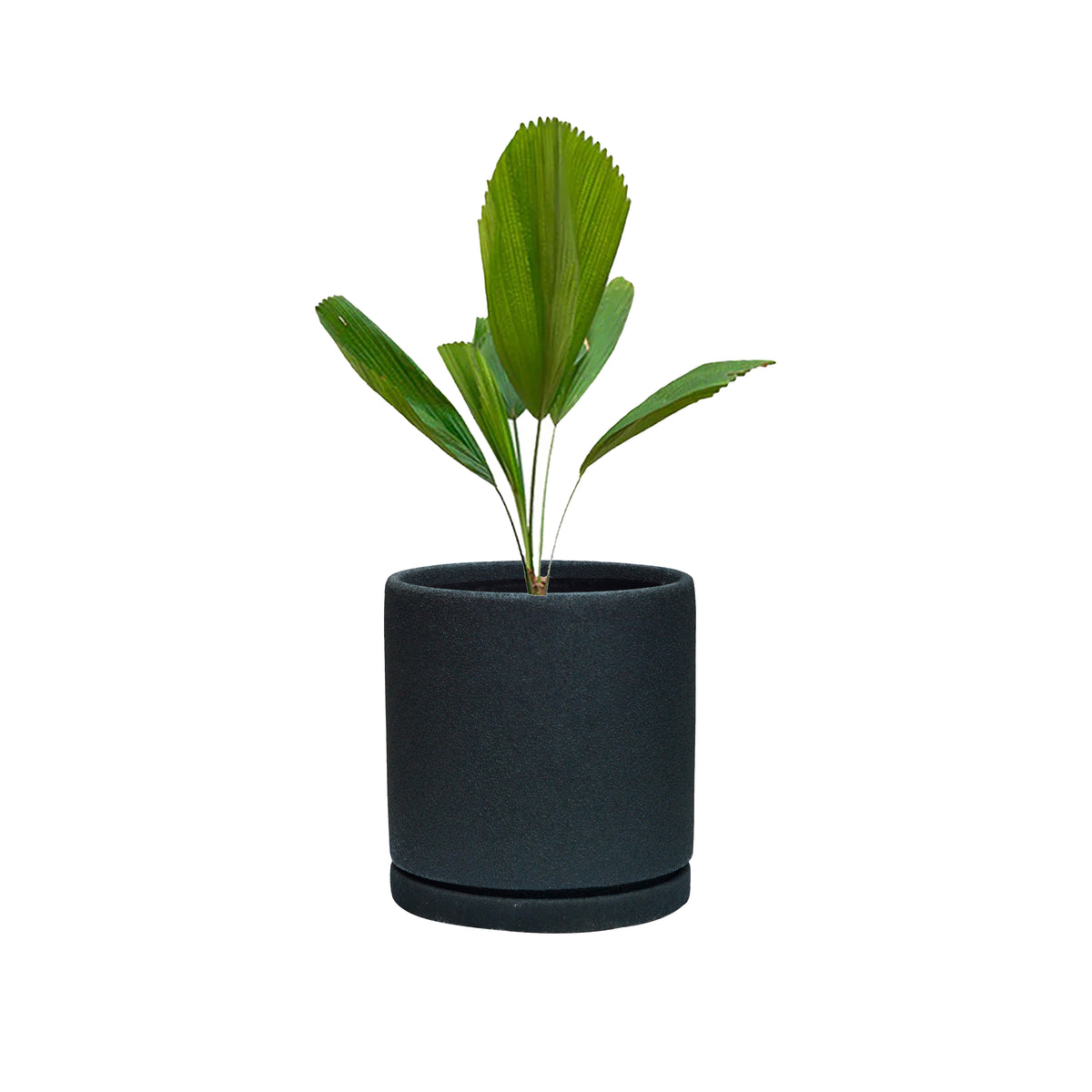 Lillian Polystone Planter