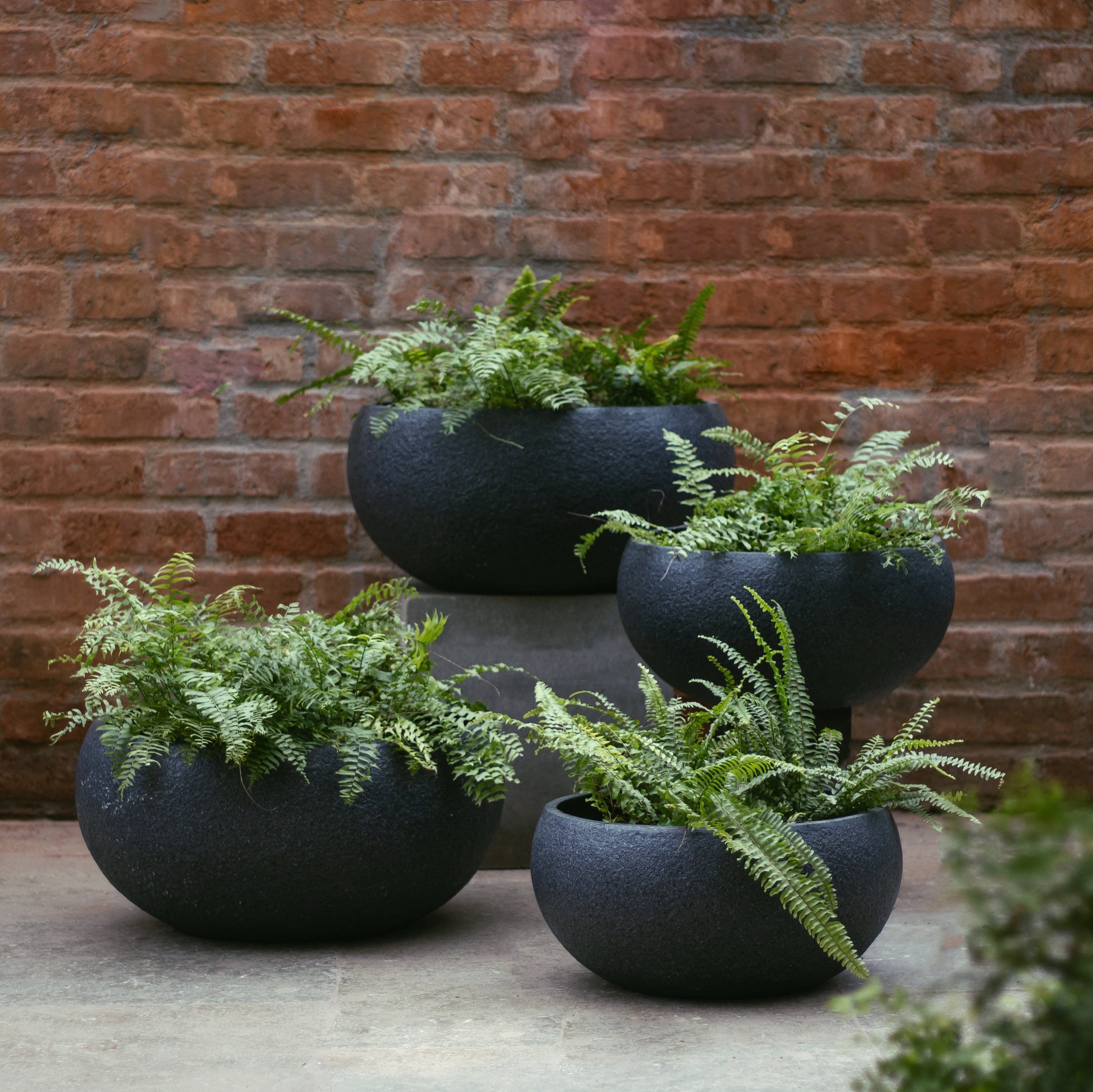Sekitan Planter