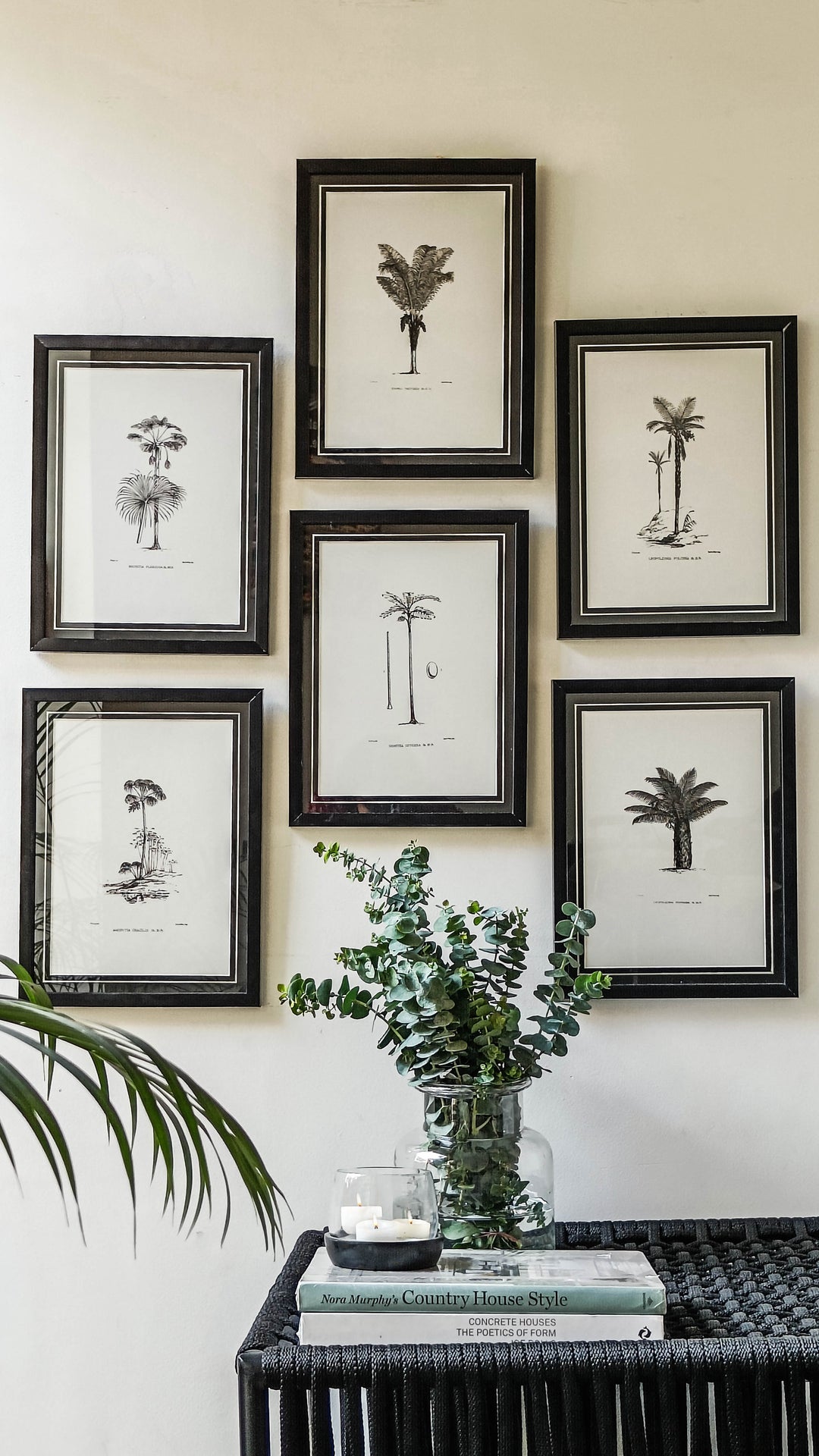 Tropical Print- Cenocarpus Baccaba Frame