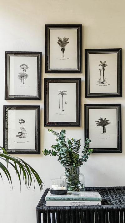 Tropical Print- Maximiliana Regia Frame