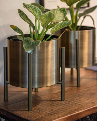 Gold Planter with stand