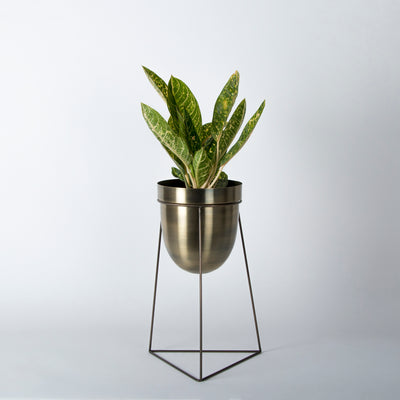 Iron triangular stand planter
