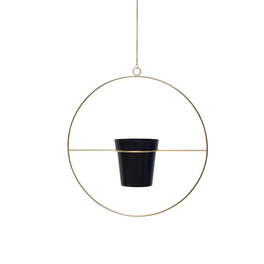 Brass Finish Hanging Planter with Black Pot