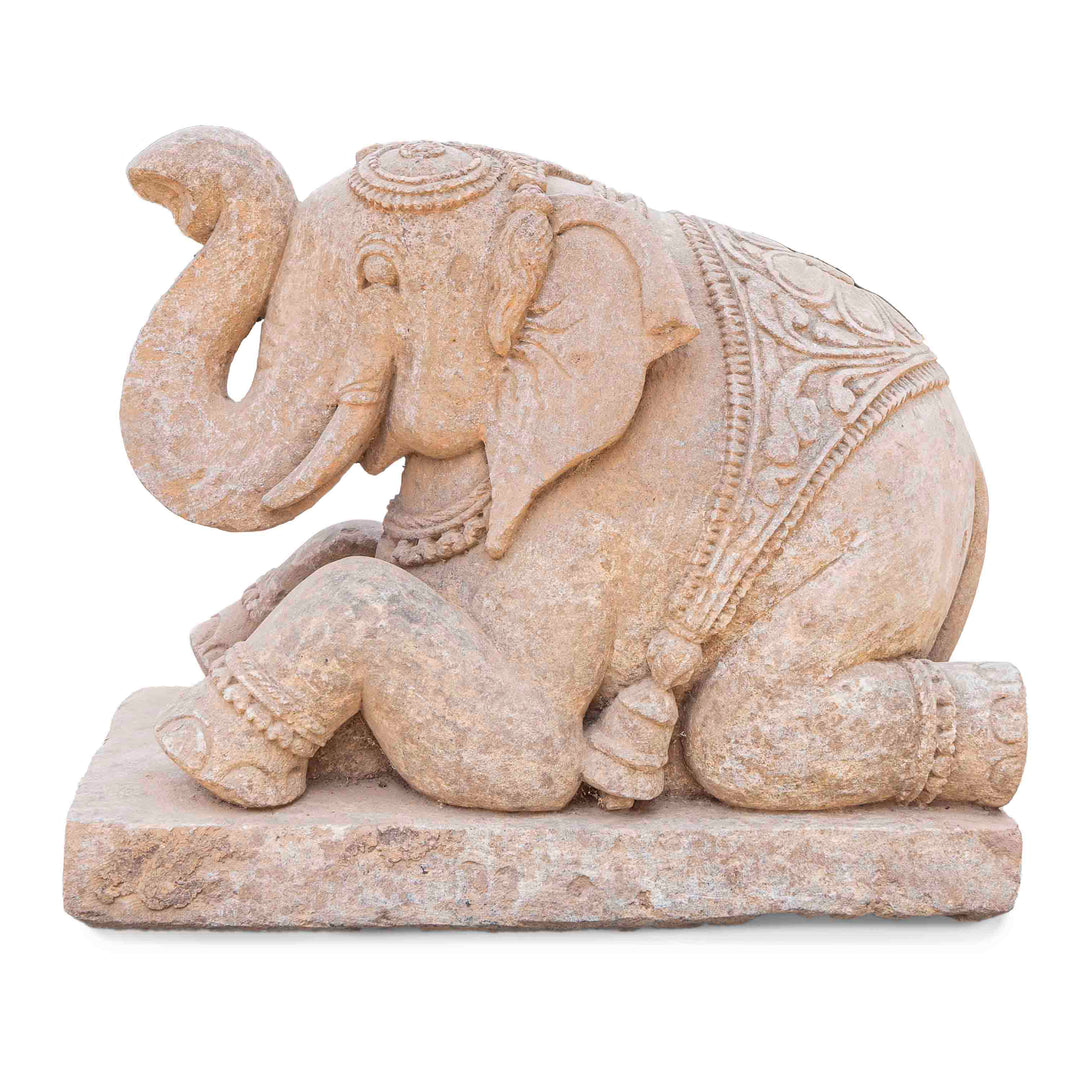 Seated Elephant