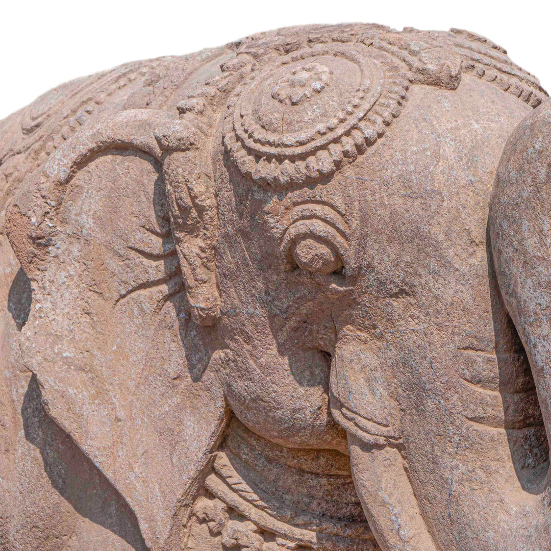 Seated Elephant