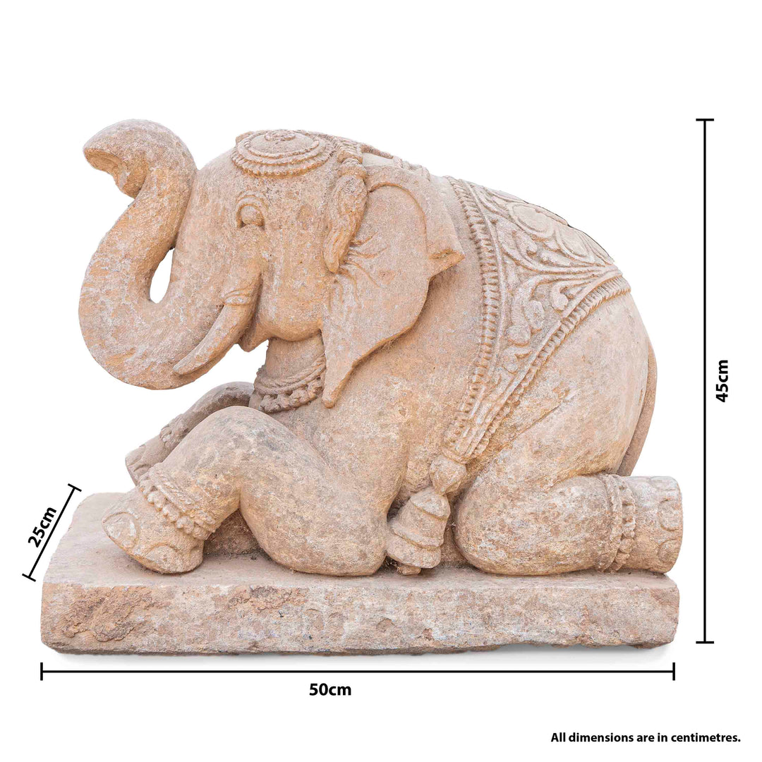 Seated Elephant