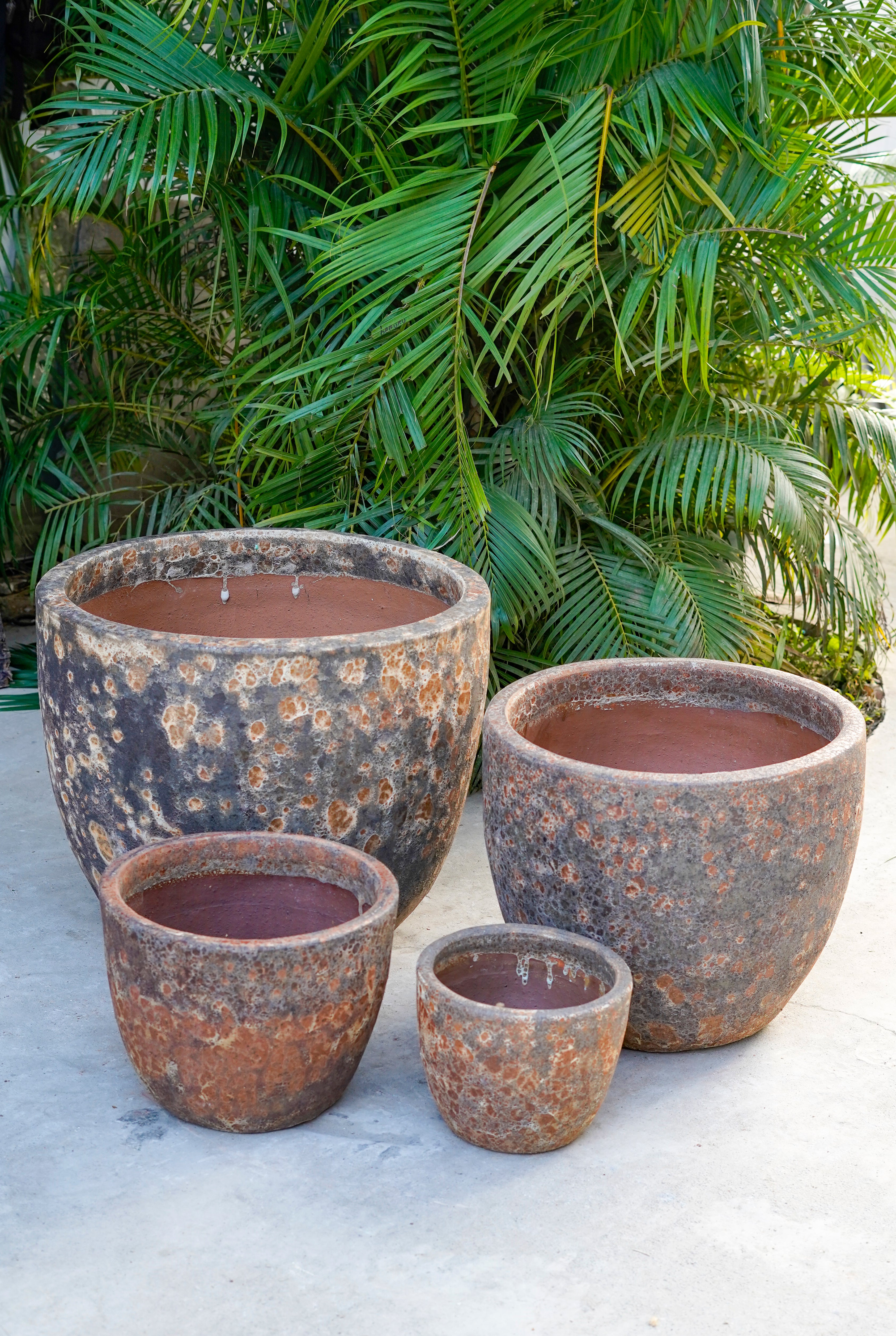 Egg Pot Orange Ancient Tidi