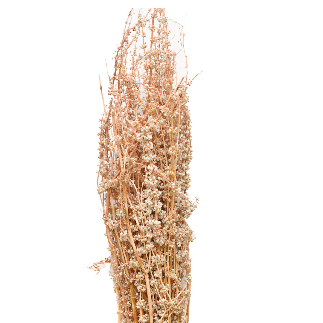Palam Stick Dried Flowers - 100 gms Pack
