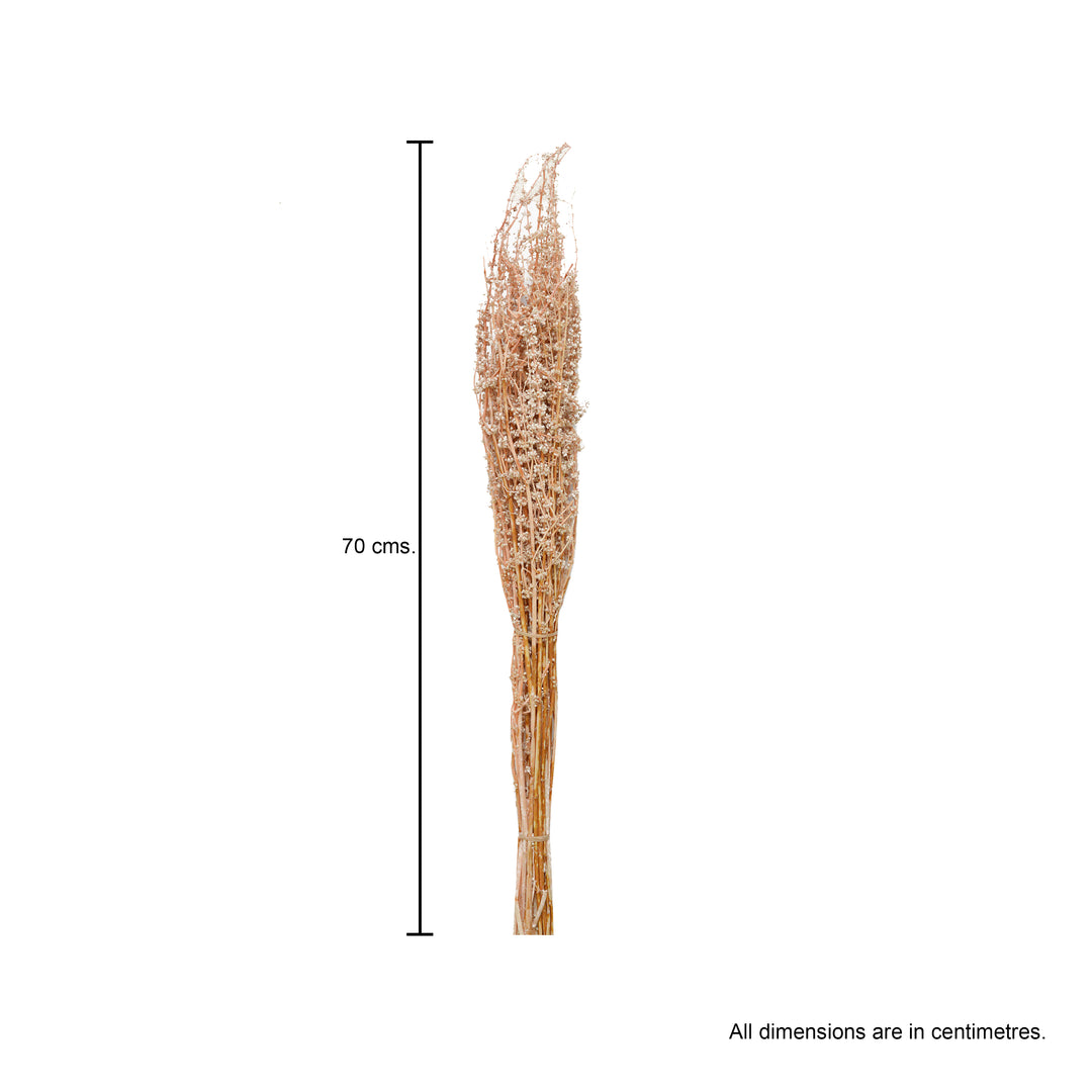 Palam Stick Dried Flowers - 100 gms Pack