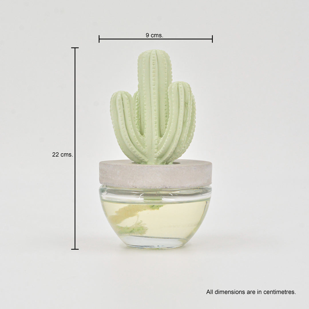 Cactus Diffuser Lemongrass - 100ml