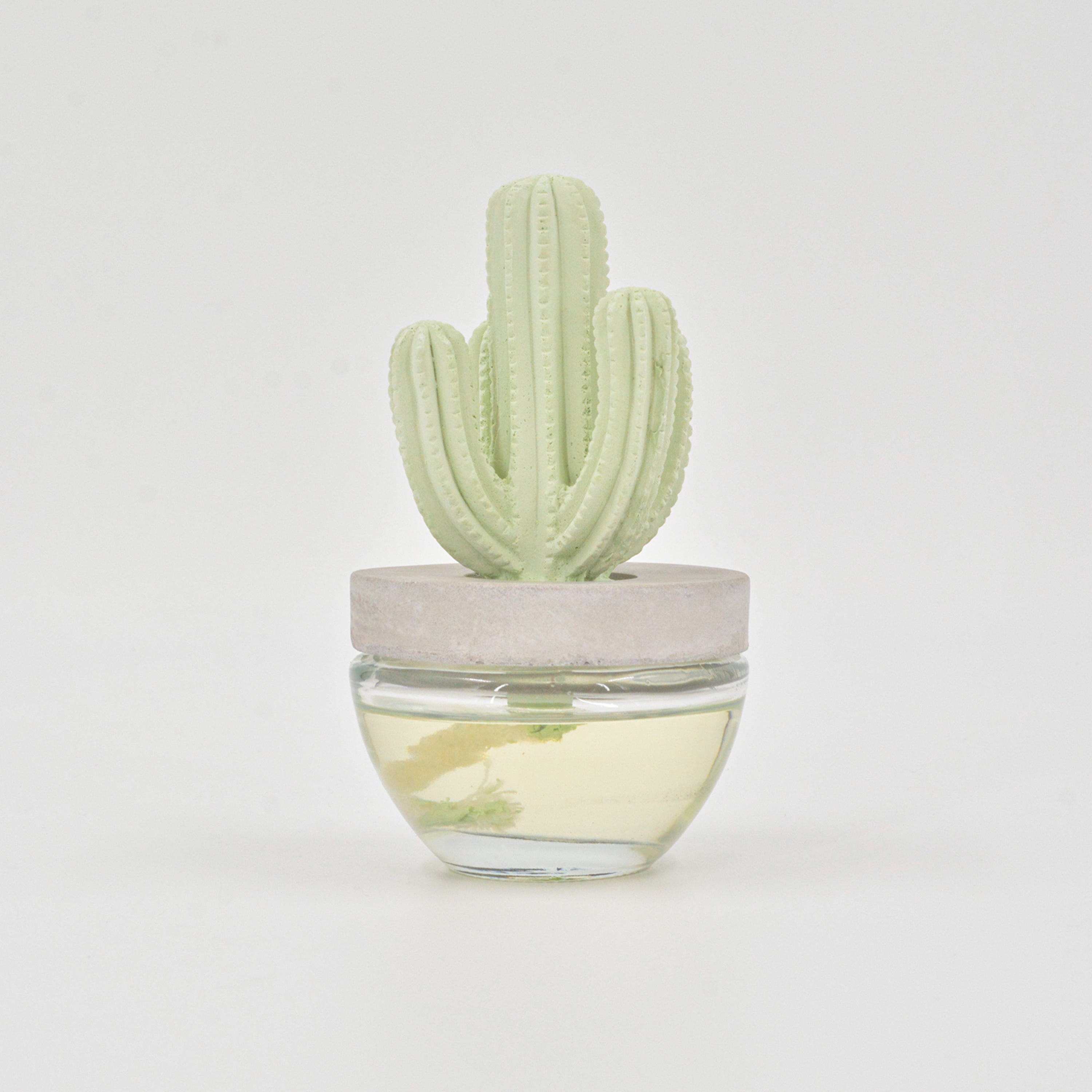 Cactus Diffuser Lavender - 100ml