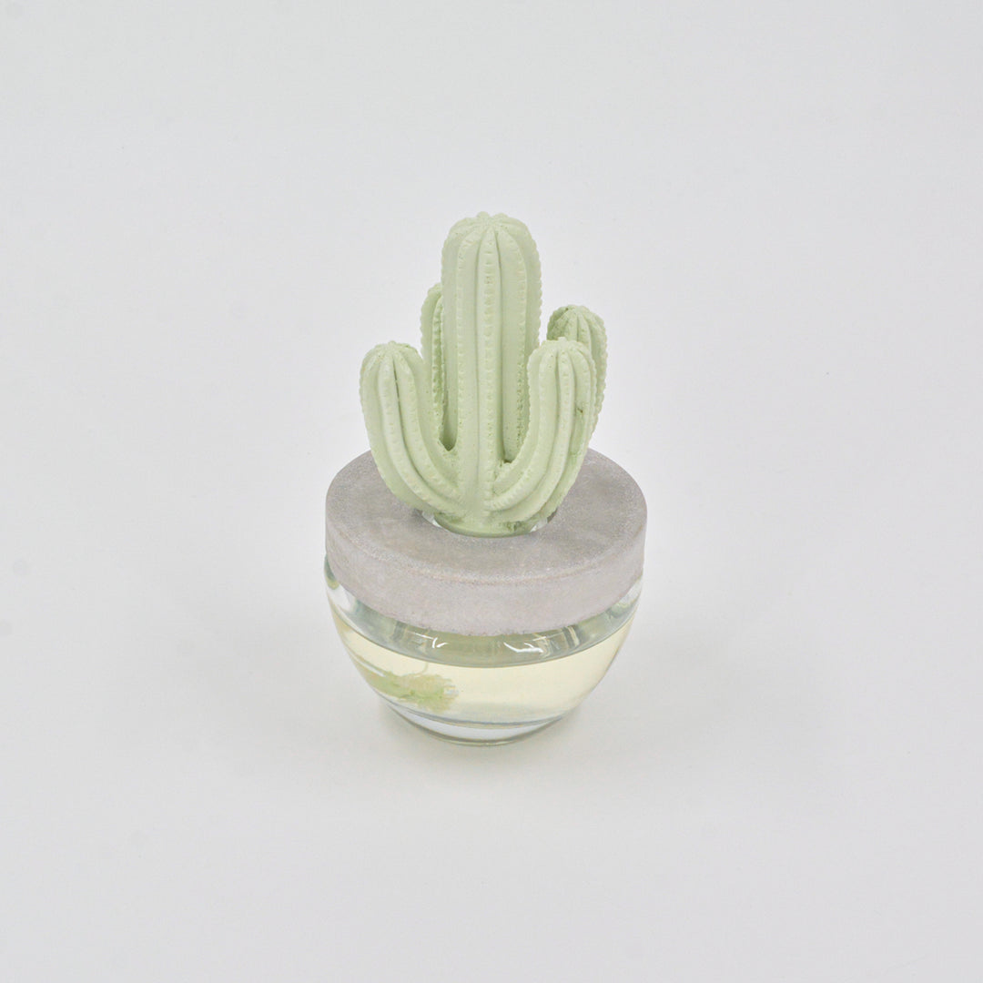 Cactus Diffuser Lavender - 100ml