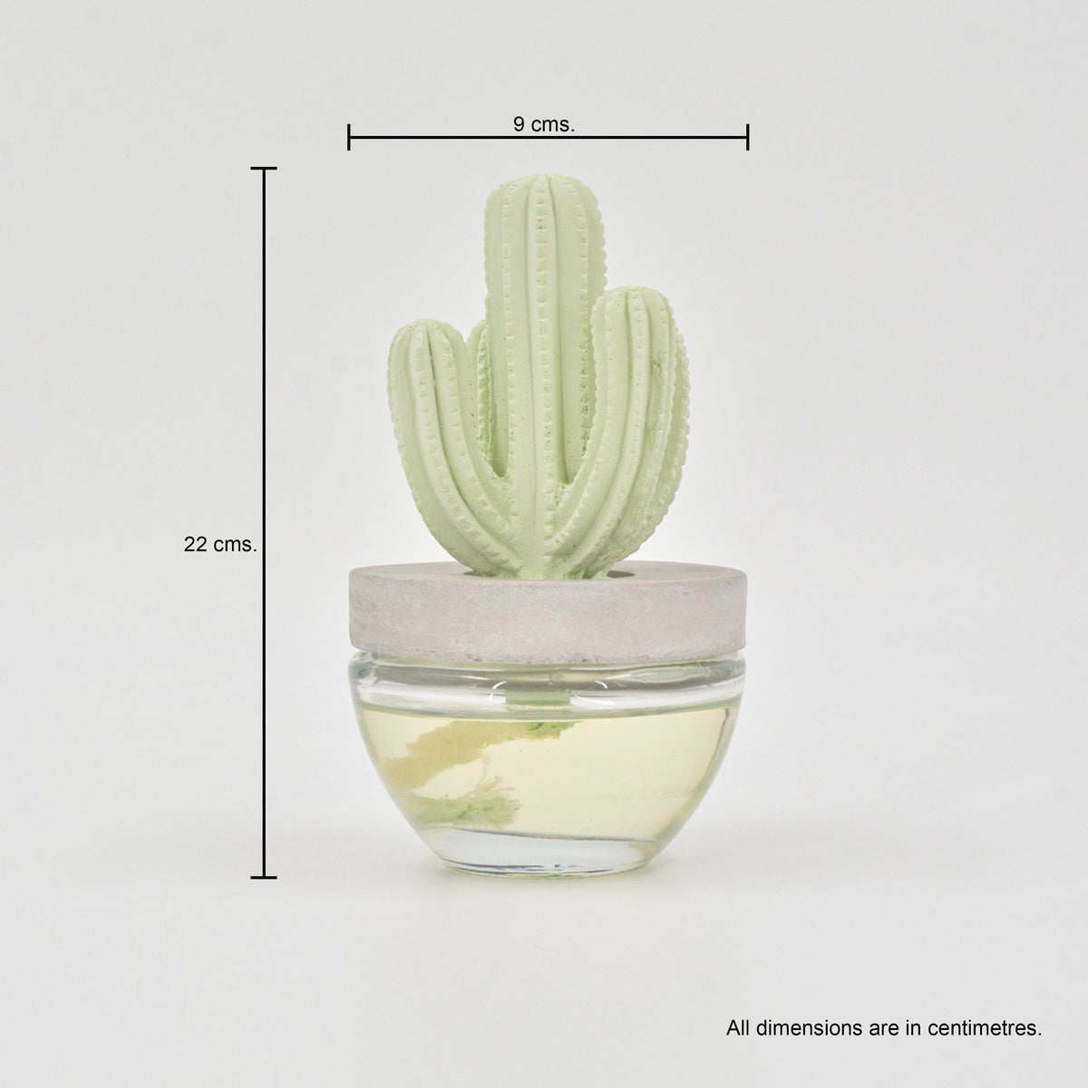Cactus Diffuser Lavender - 100ml