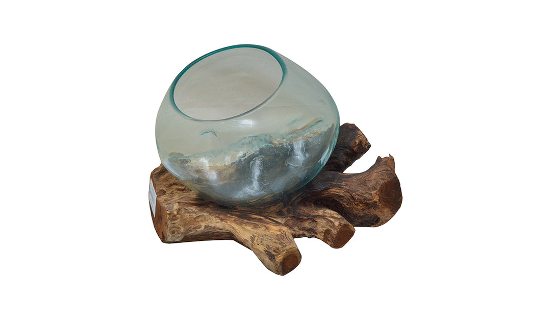 Round Glass Planter Bowl on Drift Wood