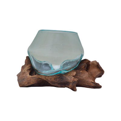 Round Glass Planter Bowl on Drift Wood