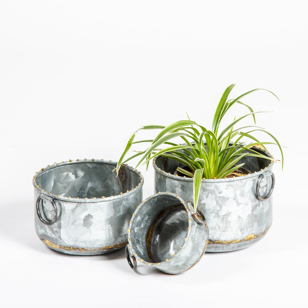 Galvanized Antique Brass Planter