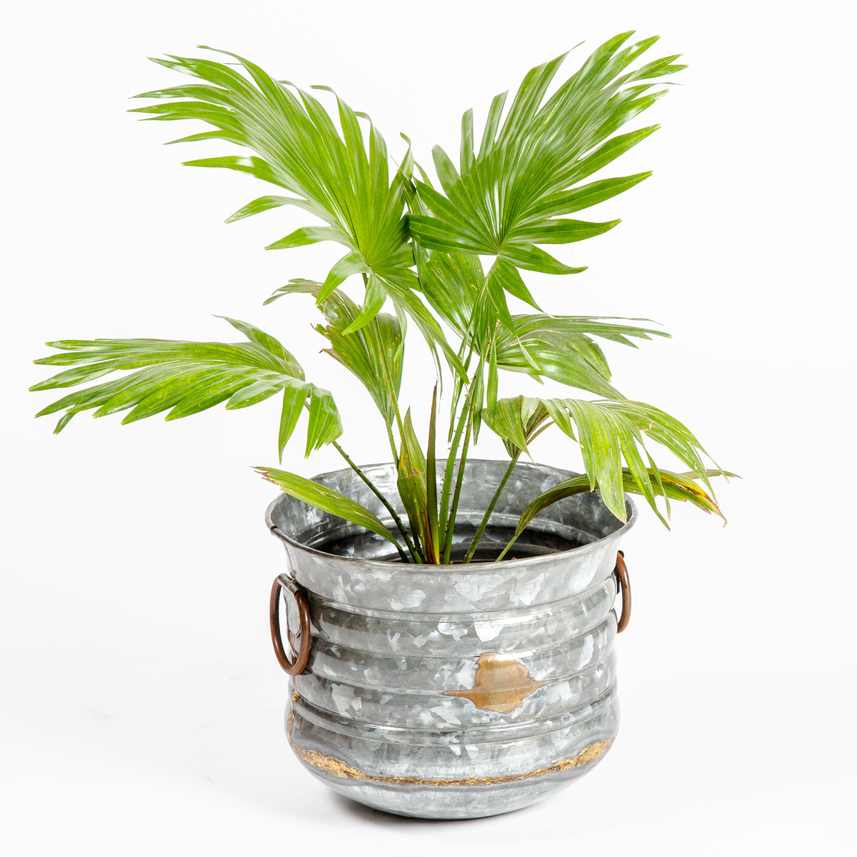 Antique planter