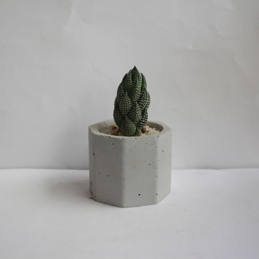 Cylinder planter - Grey (Set of 2)