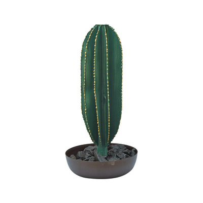 Long Metal Cactus with Pot