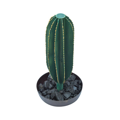 Long Metal Cactus with Pot