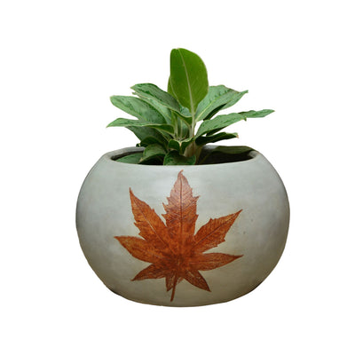 Banyan Grey Planter