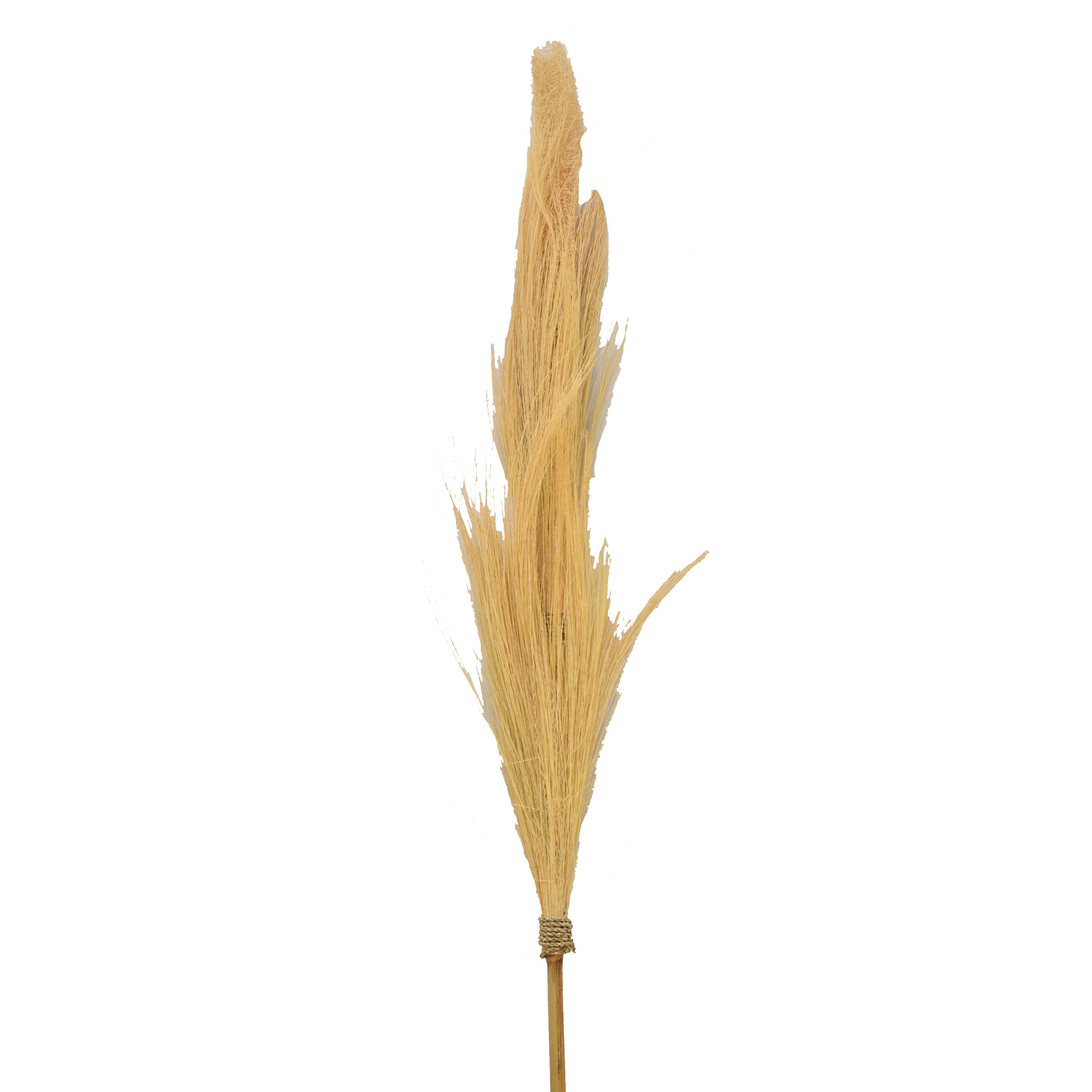 Dry Flower Gajih Flower
