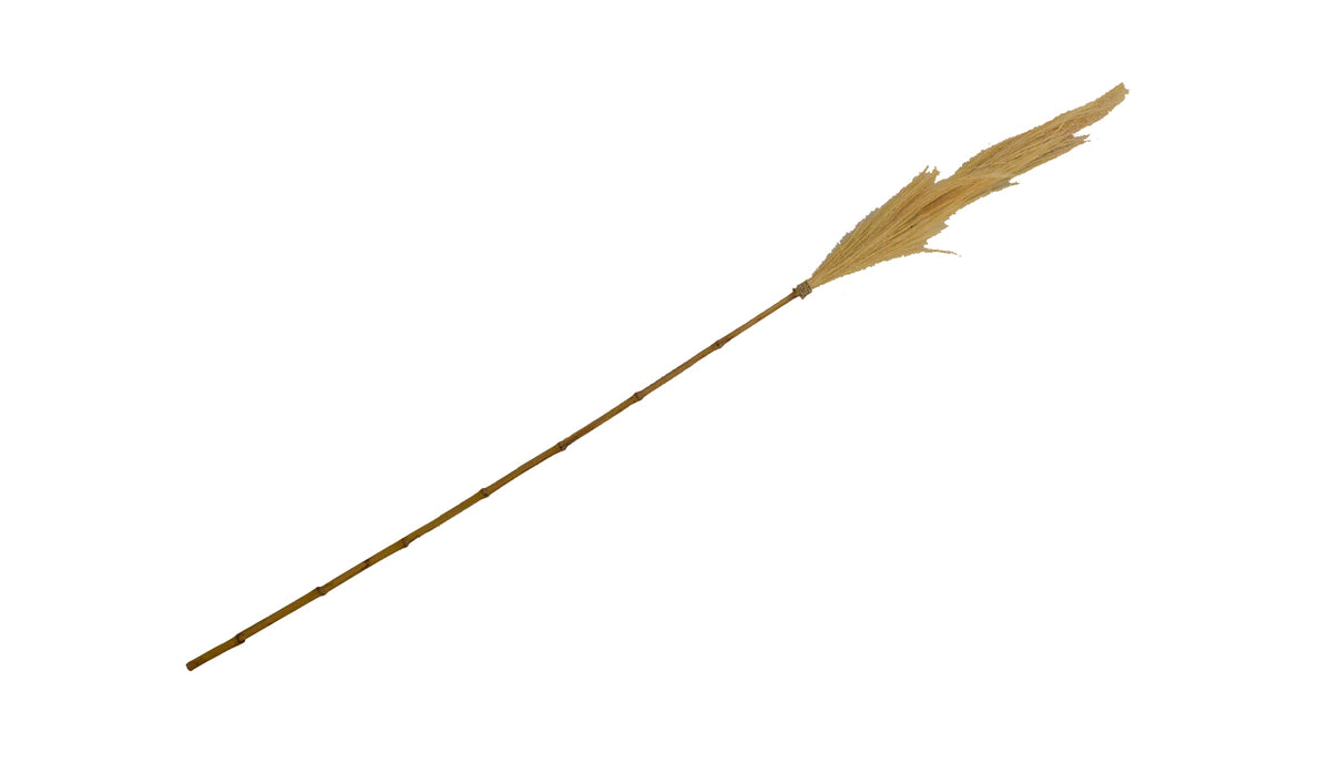 Dry Flower Gajih Flower