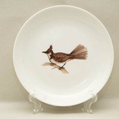 Red-vented Bulbul Plate