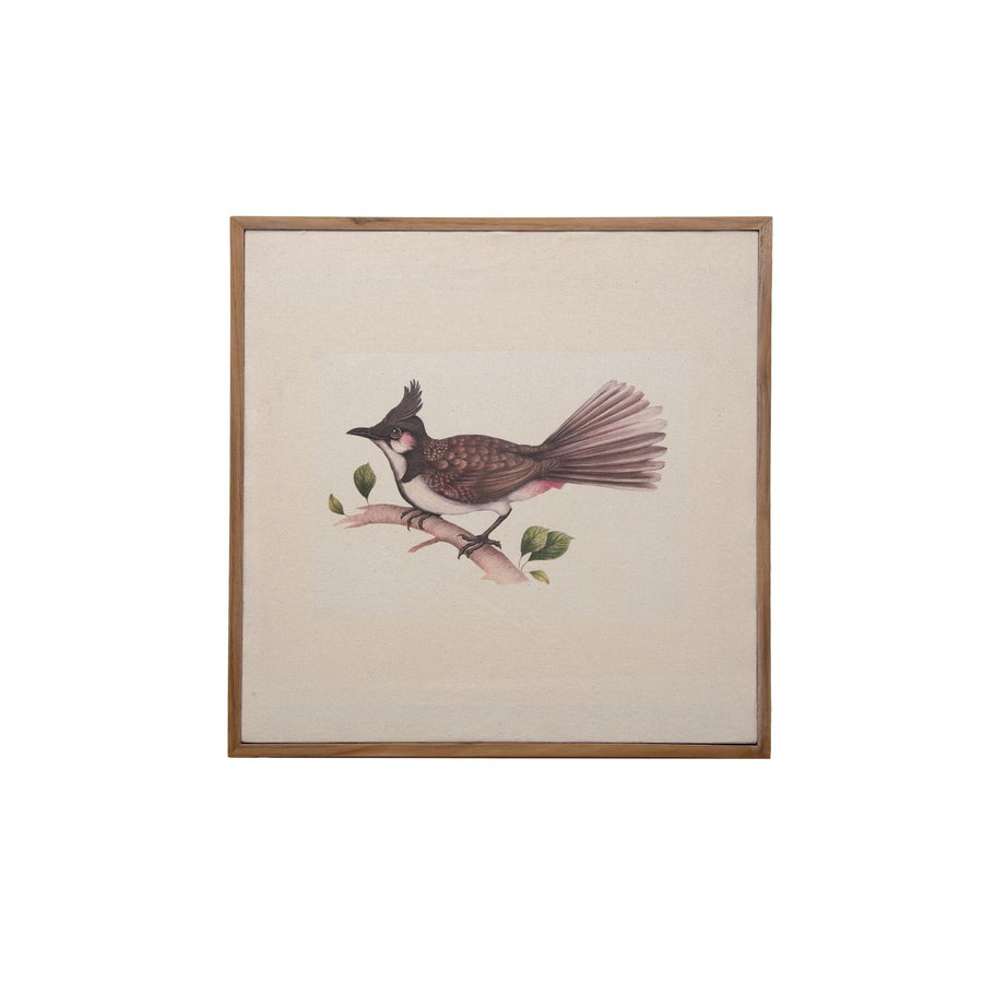 Red-vented Bulbul Canvas with Teak Frame