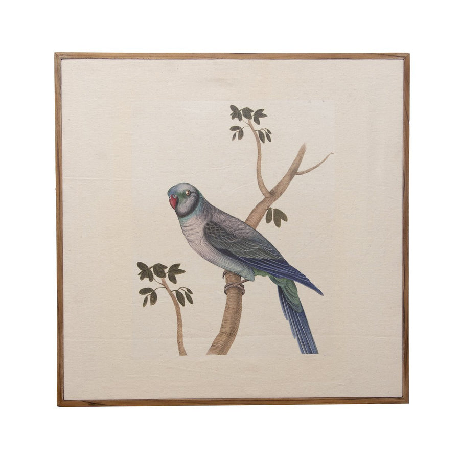 Malabar Parakeet Canvas with Teak Frame