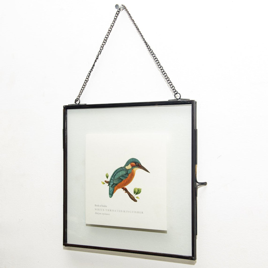 White-throated Kingfisher Print