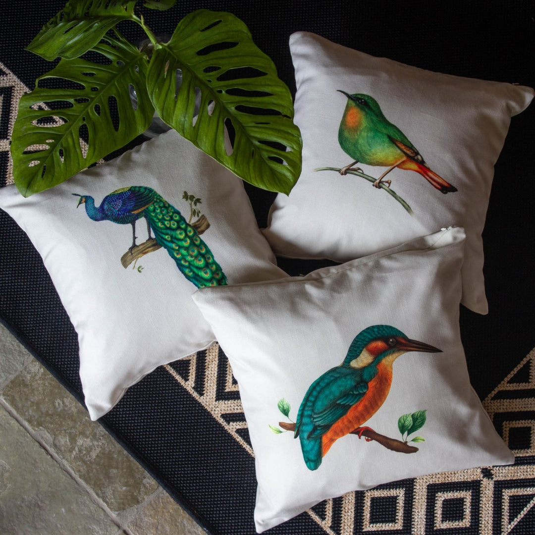Fire Tailed Myzornis Cushion Cover